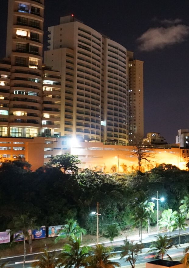 Celebration Garibaldi